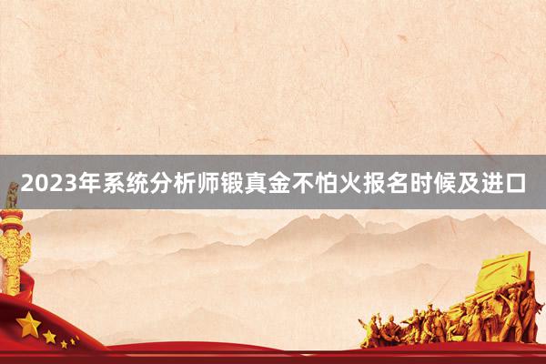 2023年系统分析师锻真金不怕火报名时候及进口