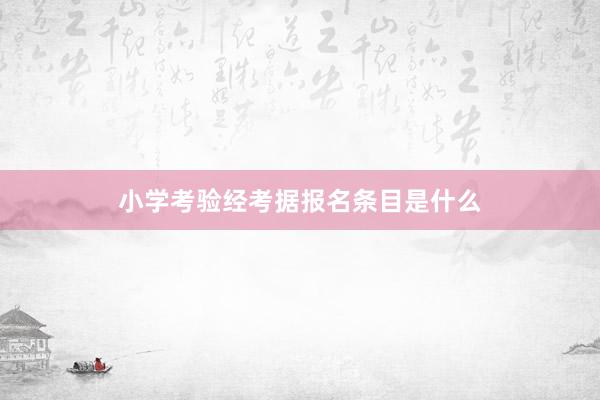 小学考验经考据报名条目是什么